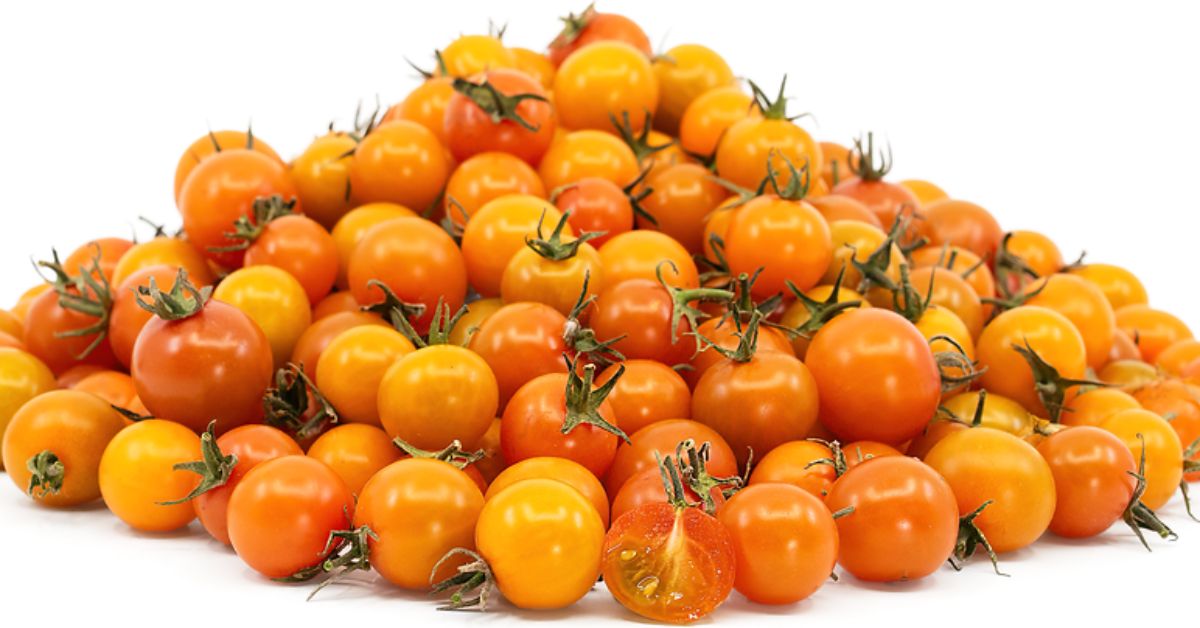 sungold tomato plant