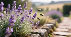 Lavender Plant for Flies